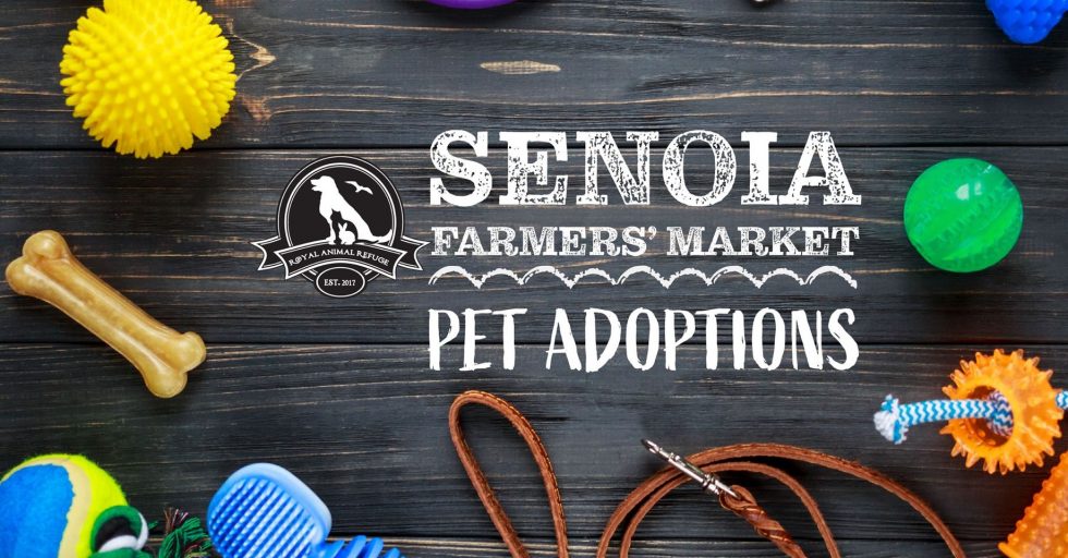 Adoption Event At Senoia Farmer's Market - Royal Animal Refuge